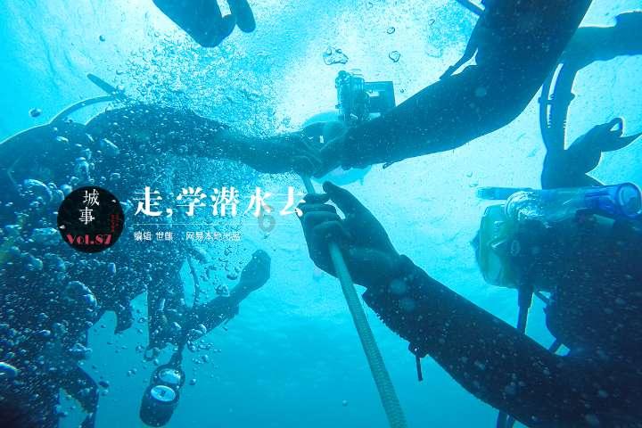 家里出现好多黑色的小虫子,原本是厨房有,现在卧室床上都有了,也不知道是什么品种,该怎么办呀?-热门问答平台,解决你的所有疑问